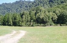 Te Pakau (Eight Acre) Campsite