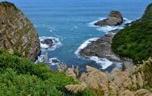 Jacks Blowhole Track