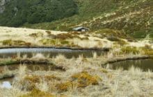 Edwards Hut