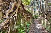 Long Hilly (Round Hill) Walking Track