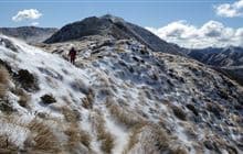 Mt Holdsworth - Jumbo Circuit