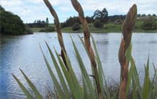 Hawksbury lagoon and beach walk