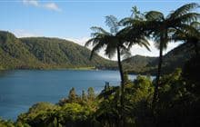 Tikitapu Nature Walk