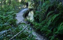 Pupu Hydro Walkway