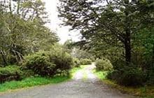 Deer Valley Campsite