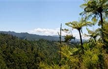 Karangahake Gorge Historic Walkway