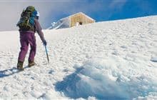 Panitahi and Syme Hut Track