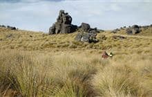 Obelisk Loop Track