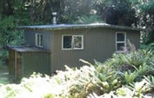 The Gut Hut