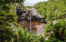 Mangawhero Falls Walk
