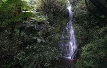Maude Track to Mangakotukutuku Falls