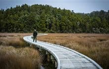 Ōkārito Wetland Walk