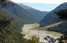 Makarora Valley Track