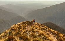 Paparoa Track