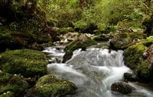 Duffy Creek Route