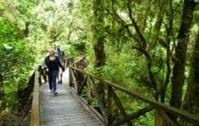 The Chasm Walk
