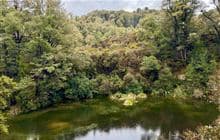 Colls Dam Walk