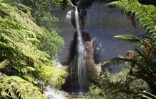 Mount Damper Falls Walk