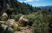 Chalkies Track