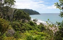Homunga Bay Track