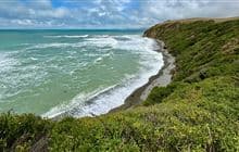 Bushy Beach Track