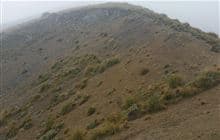 Mount Barrosa Track