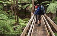 Aotea Track