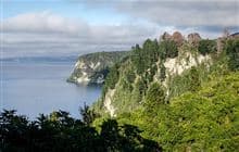 Whakaipo Bay tracks