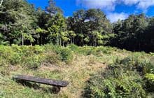 Central Clearing Campsite