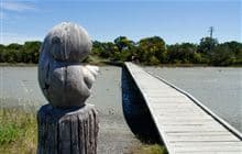 Ahuriri Estuary Walking Track