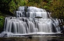 Purakaunui Falls Walk
