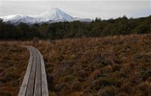 Whakapapaiti Valley Track