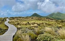 Mangorei Track to Pouākai tarns