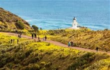 Cape Reinga/Te Rerenga Wairua Lighthouse Walk