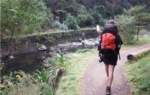 Crown Track to Dickey's Flat