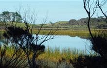 Lake Ngatu Track