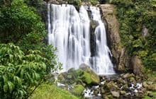 Marokopa Falls Walk
