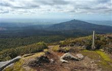 Mount Pureora from Link Road