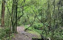 Eves Valley Walk