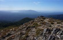 Mt Urchin Trig Track