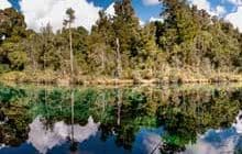 Lake Kaitawa Fairy Springs Track