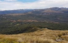 Cloustons Mine Track
