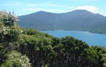 Motuara Island Lookout Track 