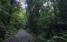 Potaema Track