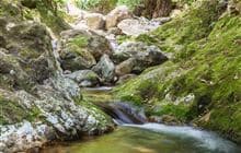 Wentworth Falls Walk