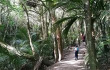 Parata Track