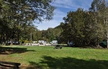 Slab Hut Creek Campsite