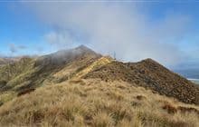 Mount French Track