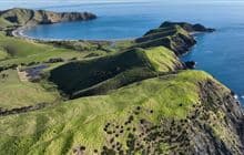 Muriwai Walk