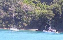 South Arm Campsite